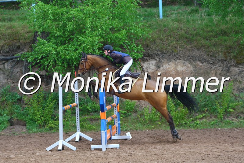 005L4256_Luna_Spring A_R-IQ Cup.JPG